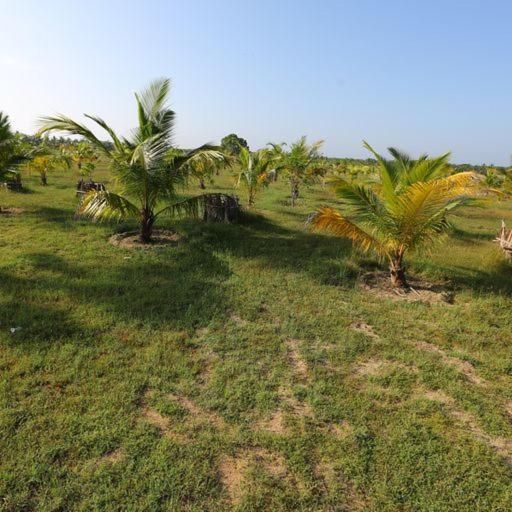 Отель Kayjay Palms Passikudah Экстерьер фото